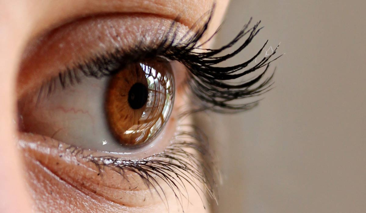 closeup of eye with reflection of window in it