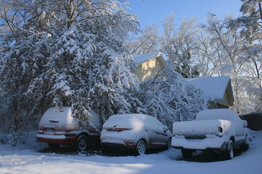 Heavily snow laden trees. 3 cars covered in snow. House covered in snow. Sunny day. Arkansas winter.