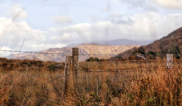 barbed wire fence stretching across field of grass. Hills in background.