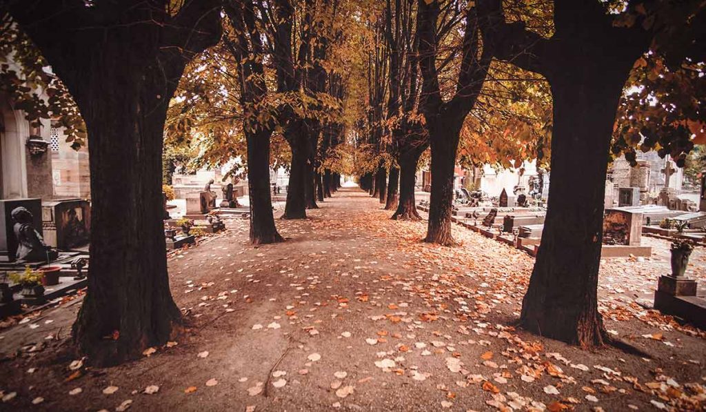 Tree-lined walkway through European cemetery