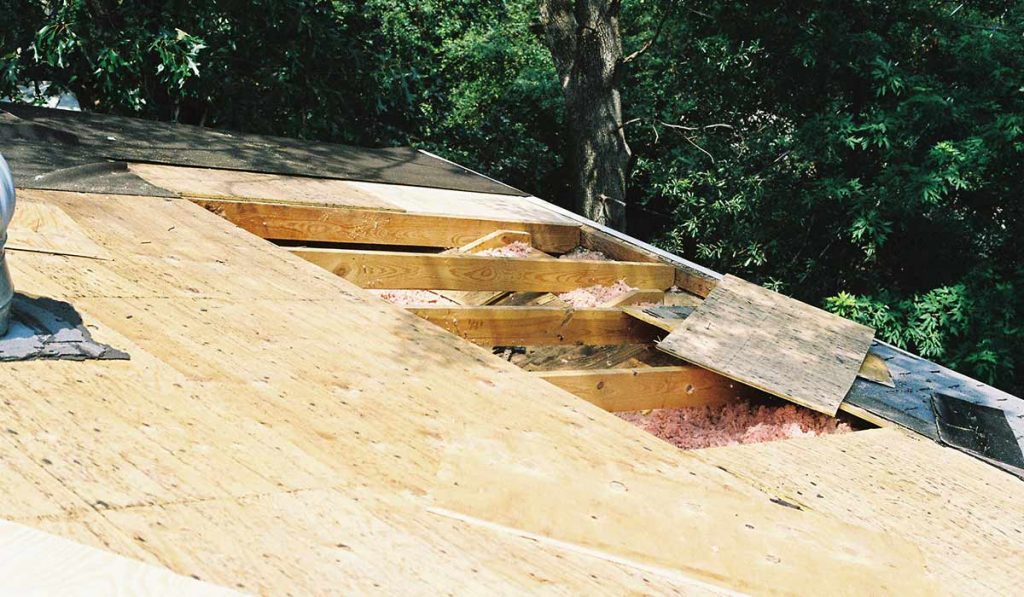 Bare roof sheeting with sections of plywood removed to be replaced