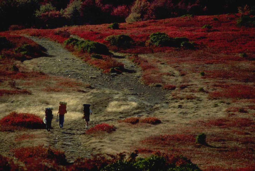 3 backpackers hiking in distant shot