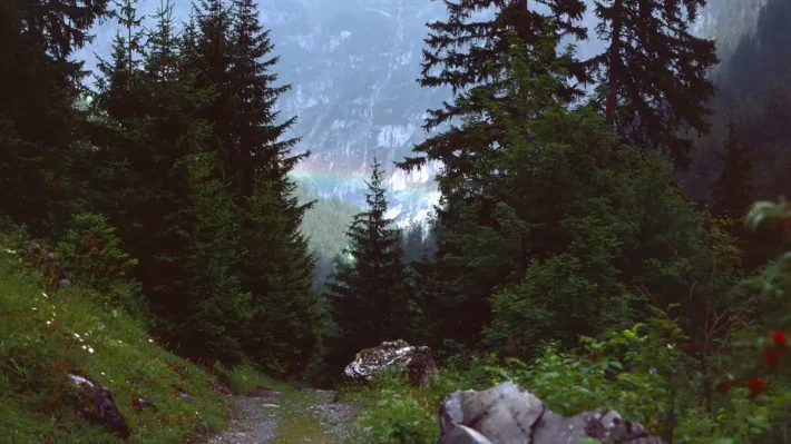 rainbow behind trees down in valley