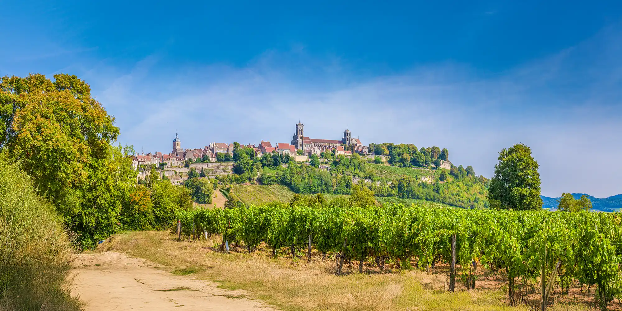 Vezelay in distance on the hill, farm fields and vineyards in foreground